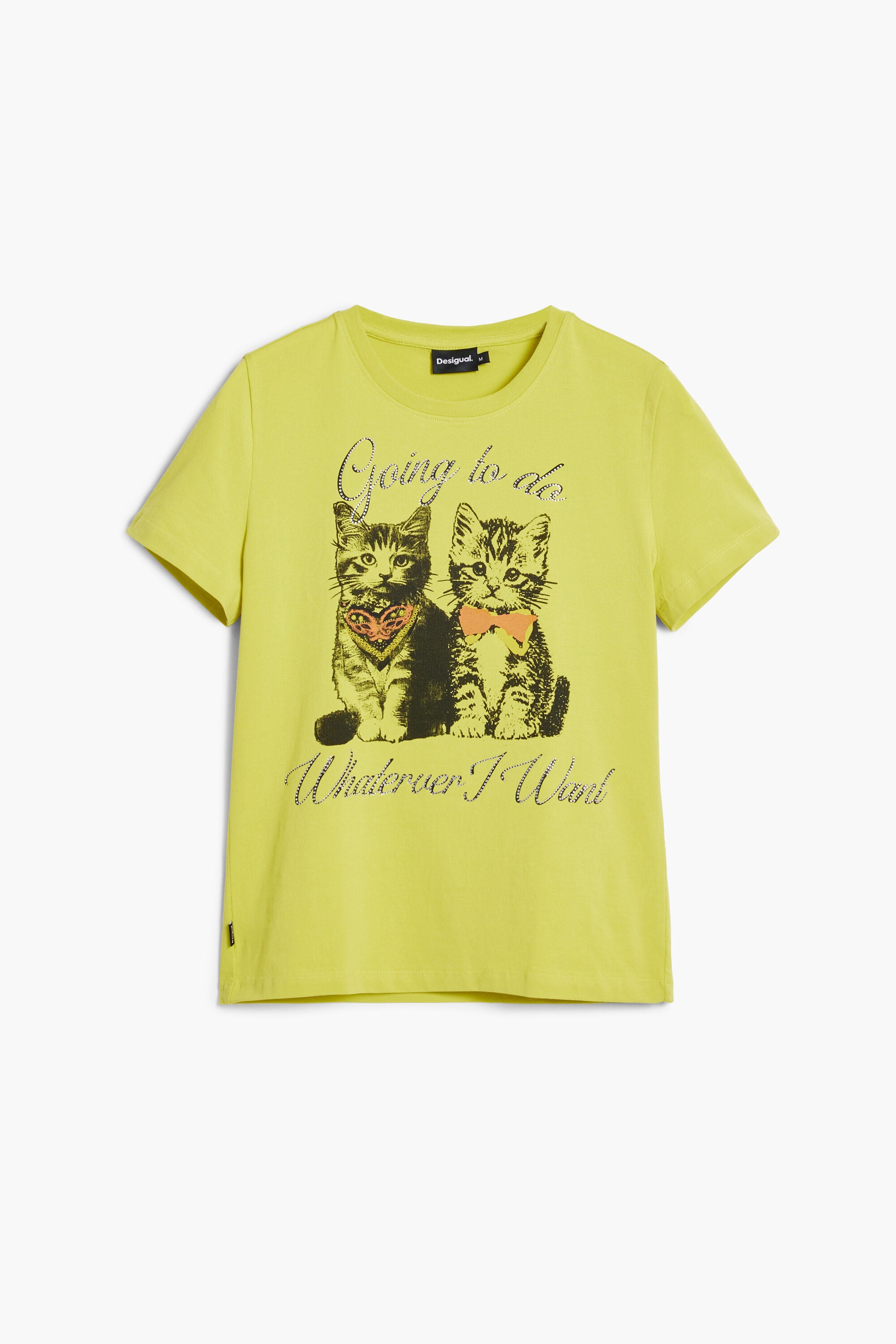 Camiseta manga corta gatos