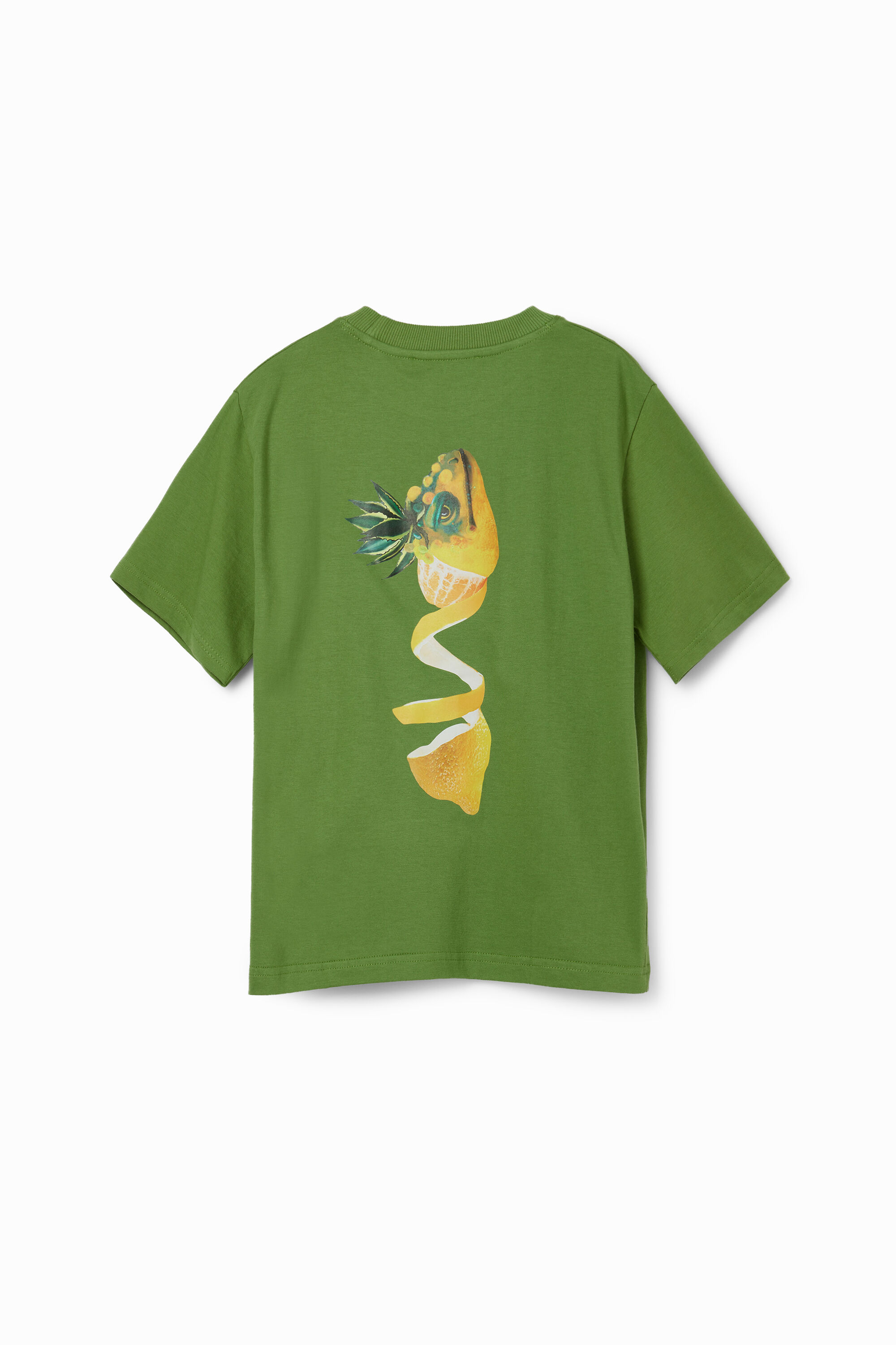 Lemon reptile T-shirt - GREEN - 13/14