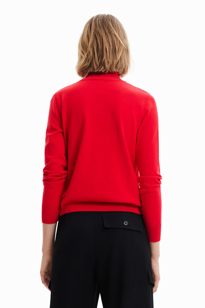 Pull col roulé serpent | Desigual