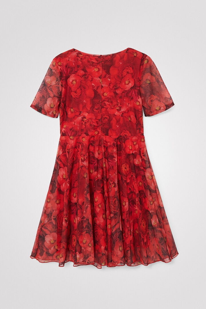 Robe coquelicots tulle | Desigual