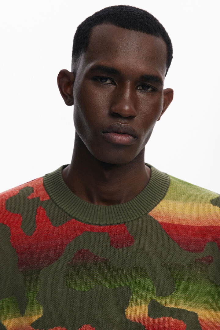 Jersey animal rayas | Desigual