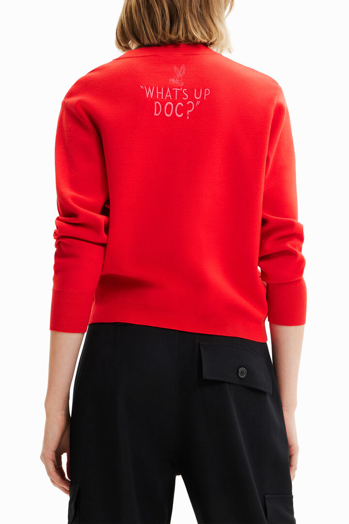 Pull brodé Bugs Bunny | Desigual