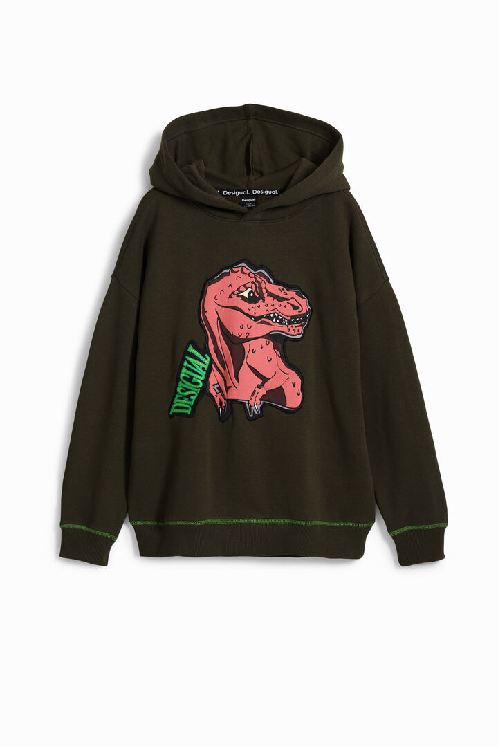 Dinosaur sweatshirt