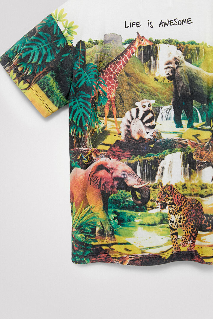 Camiseta dinosaurio | Desigual