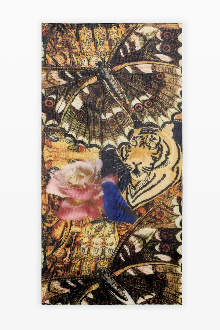 foulard rectangulaire m c lacroix