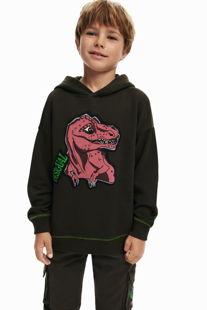 Dinosaur sweatshirt | Desigual