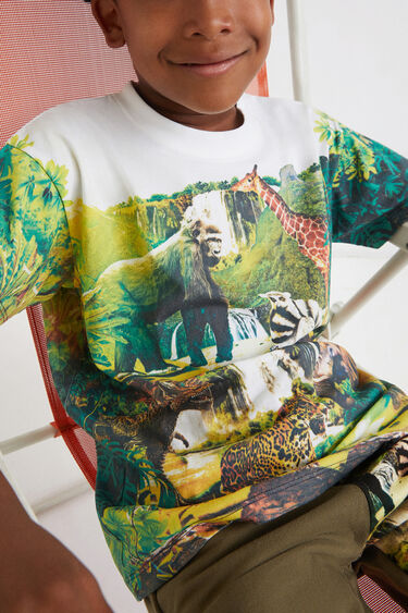 恐竜 Tシャツ Desigual Com