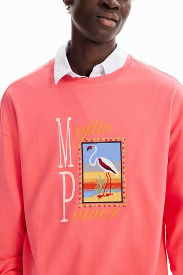 Sudadera bordado flamenco | Desigual