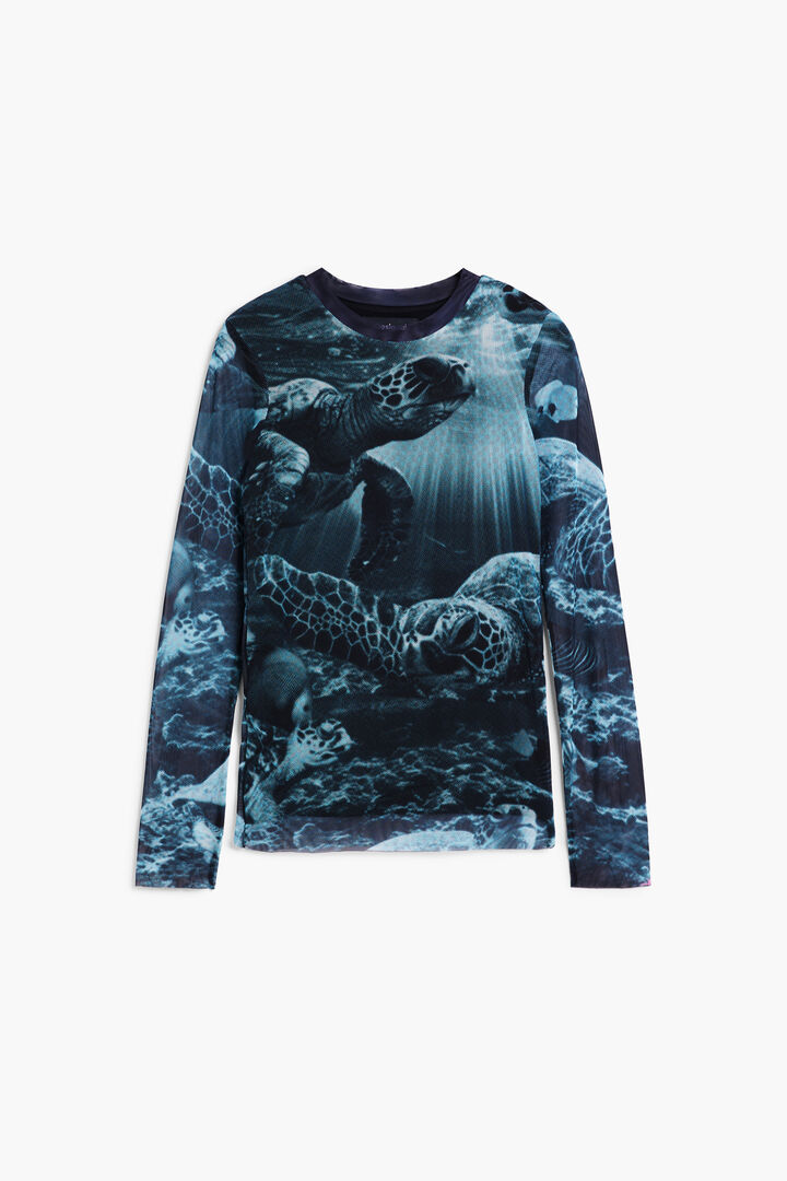 Camiseta manga larga tortugas Botter | Desigual