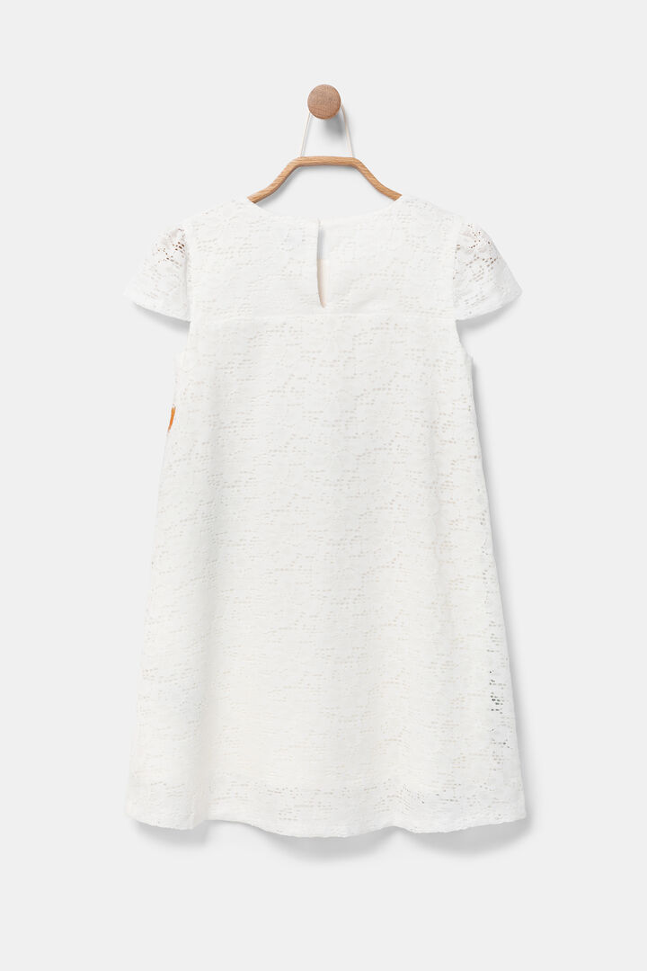 Vestito pizzo e fiore | Desigual