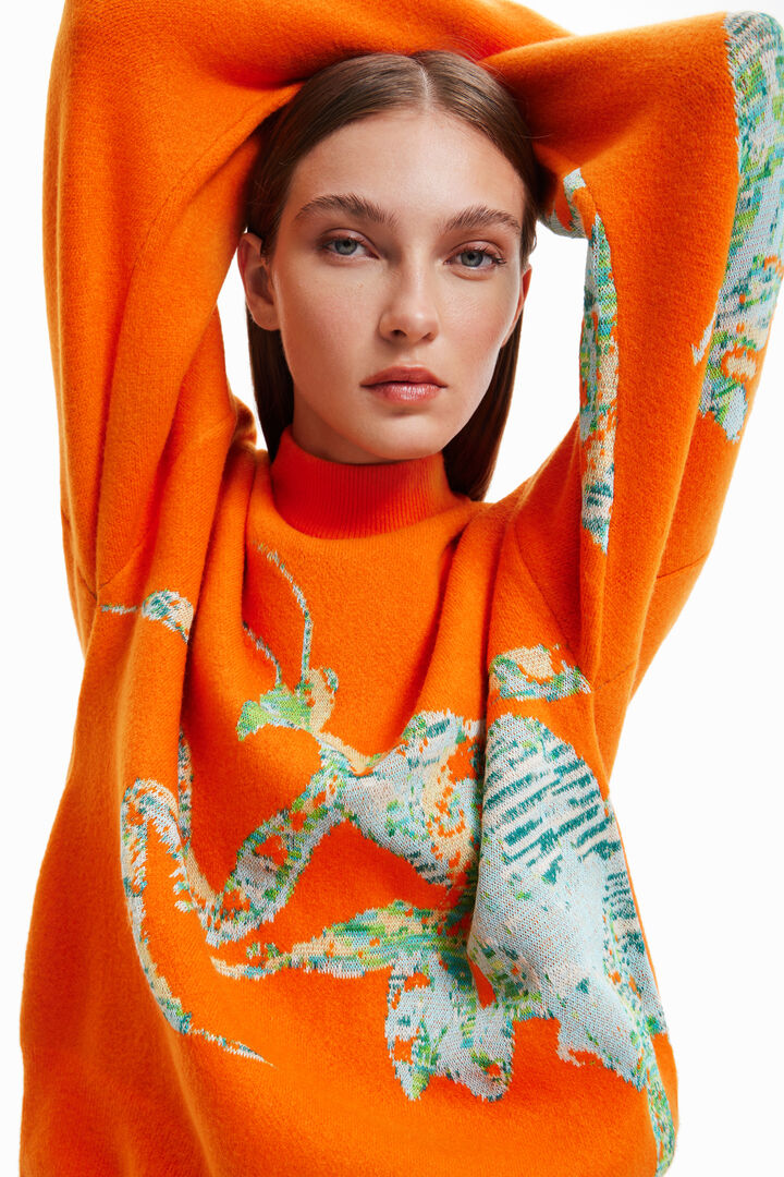 Maitrepierre oversize mantis pullover | Desigual