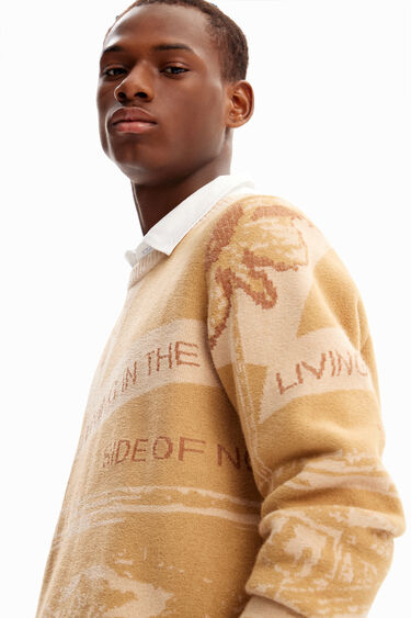 Jersei jacquard cotxe | Desigual
