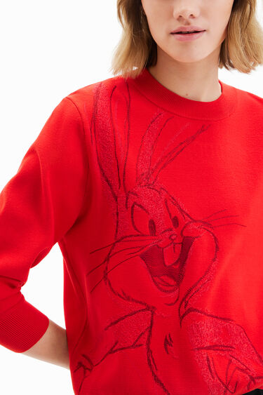 Izvezen pulover z zajčkom Dolgouščkom | Desigual