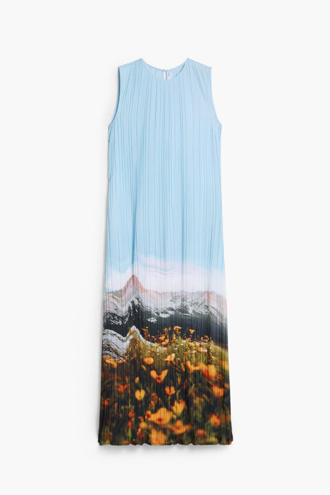 PLEATED LANDSCAPE DRESS