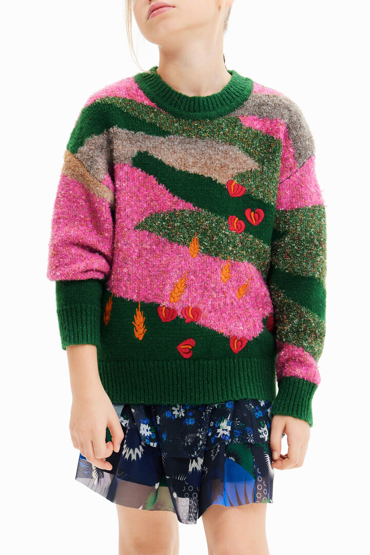 Embroidered jacquard pullover | Desigual