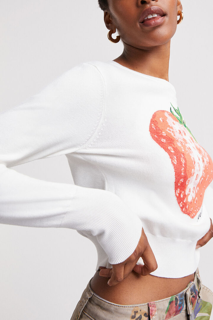 Cropped strawberry jumper | Desigual