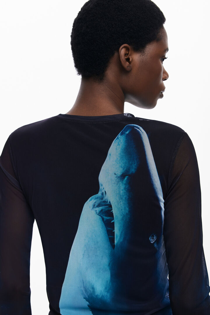 Langarmshirt Hai Botter | Desigual