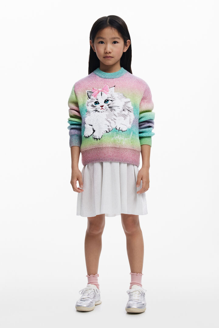 Regenboog kat trui