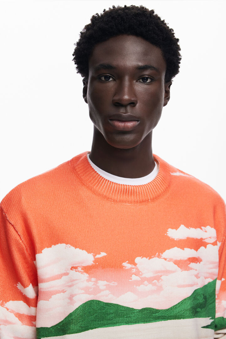 Landscape sweater | Desigual