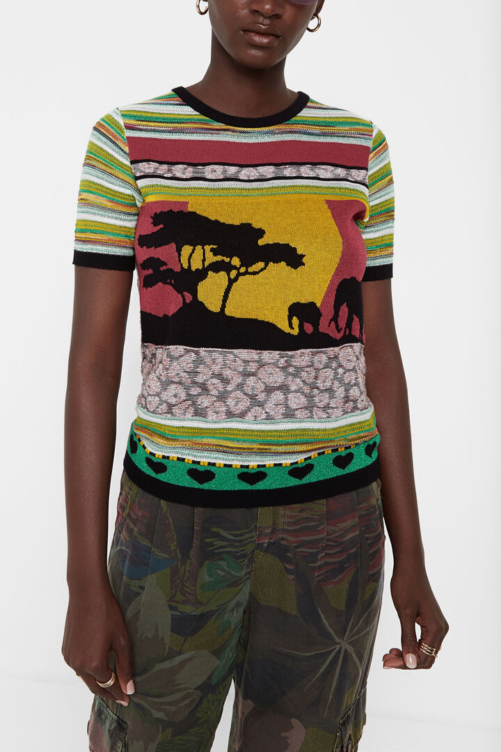 Africa patch jumper | Desigual