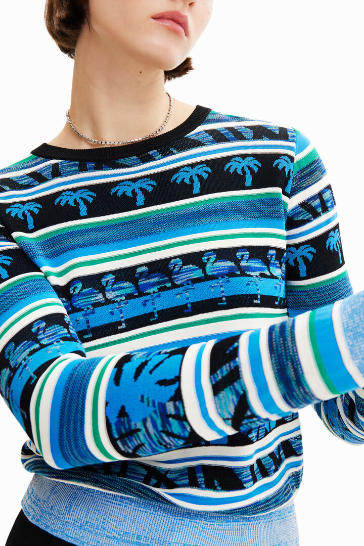 Tropical border pullover | Desigual