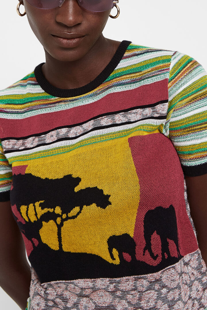 Africa patch jumper | Desigual