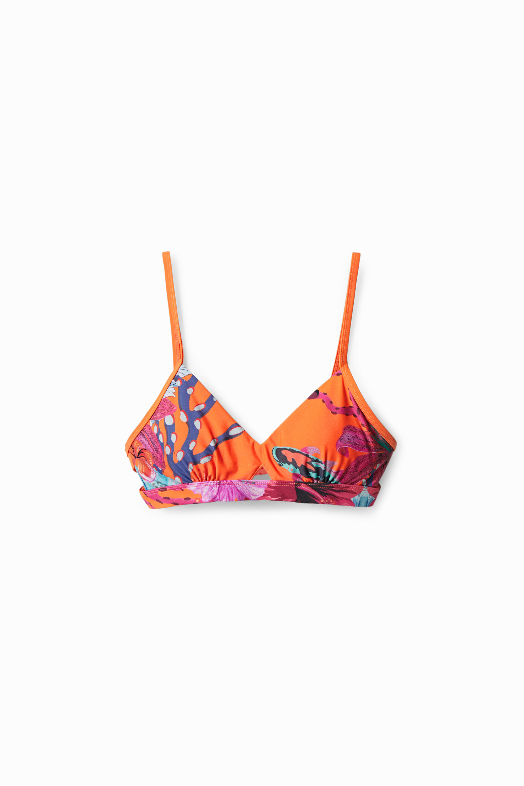 Coral triangle bikini top