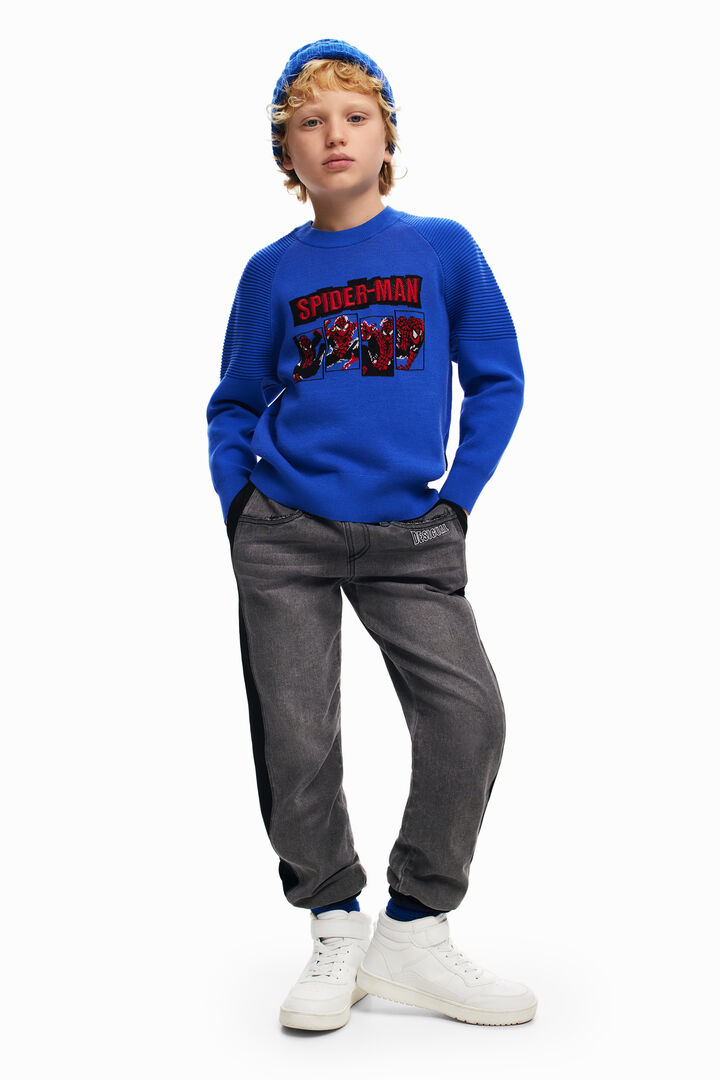 Sudadera Spiderman sin capucha | Desigual