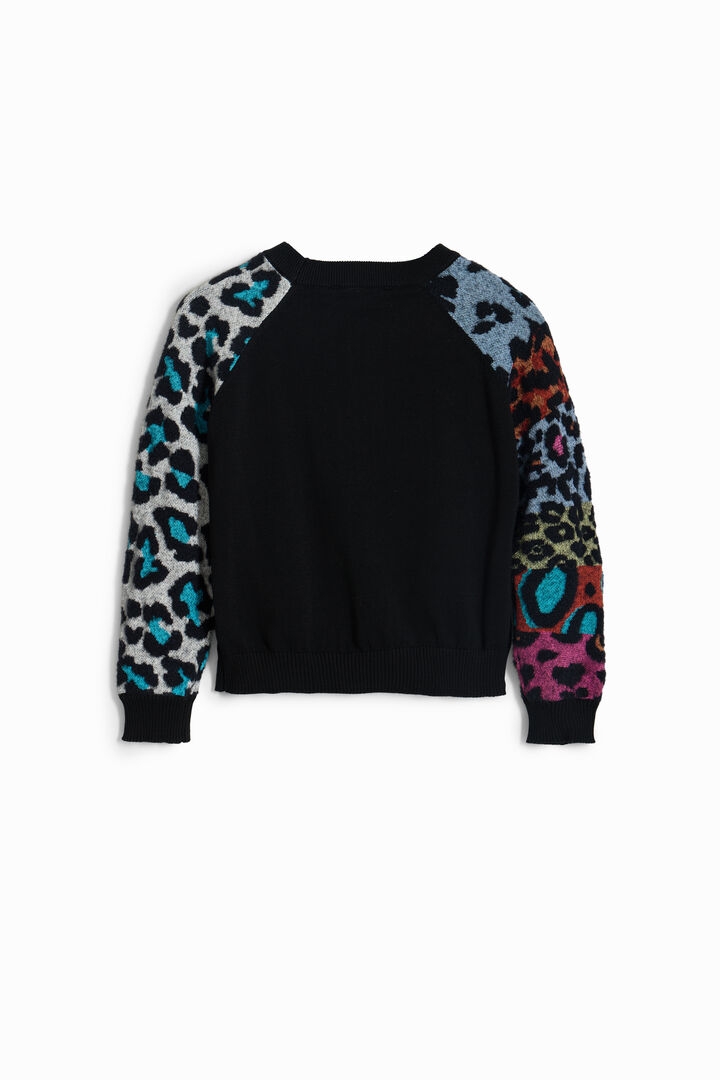 Jumper | Desigual