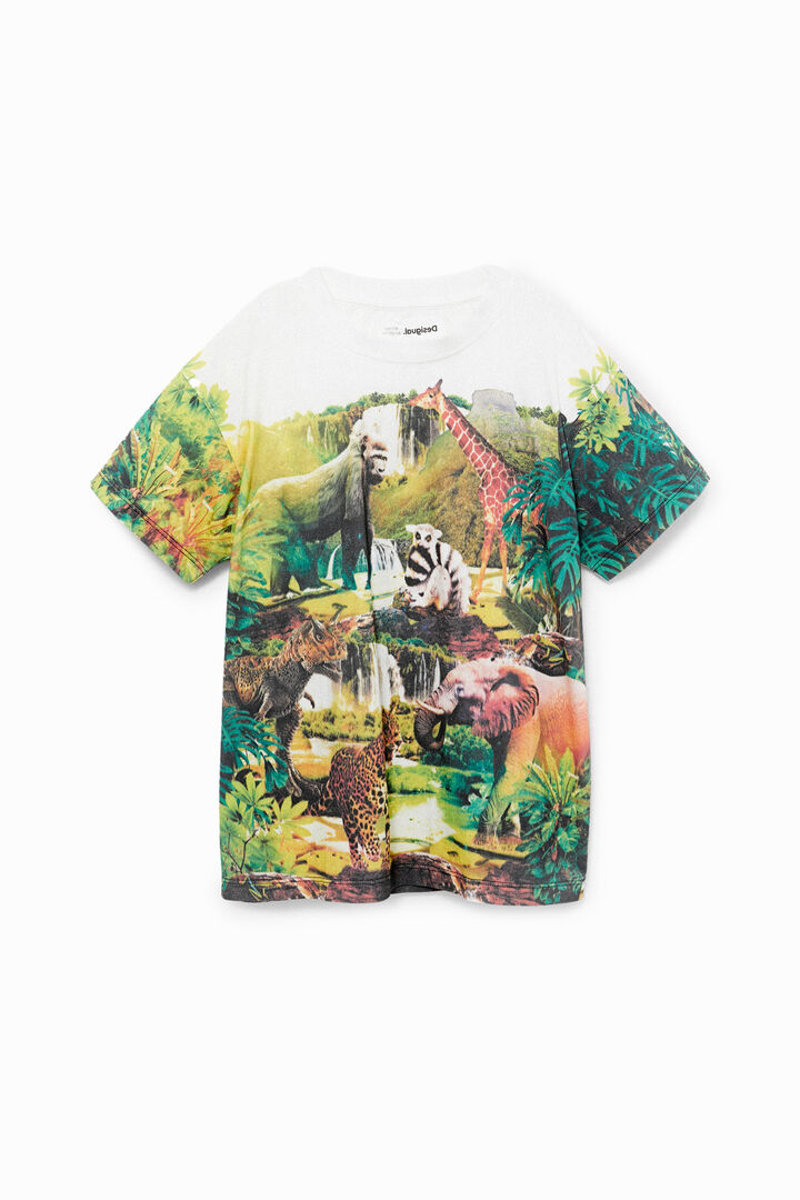 Camiseta dinosaurio | Desigual