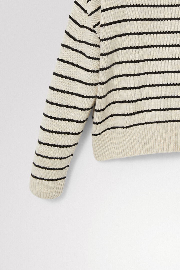 Pullover mit Streifen und Rosen | Desigual
