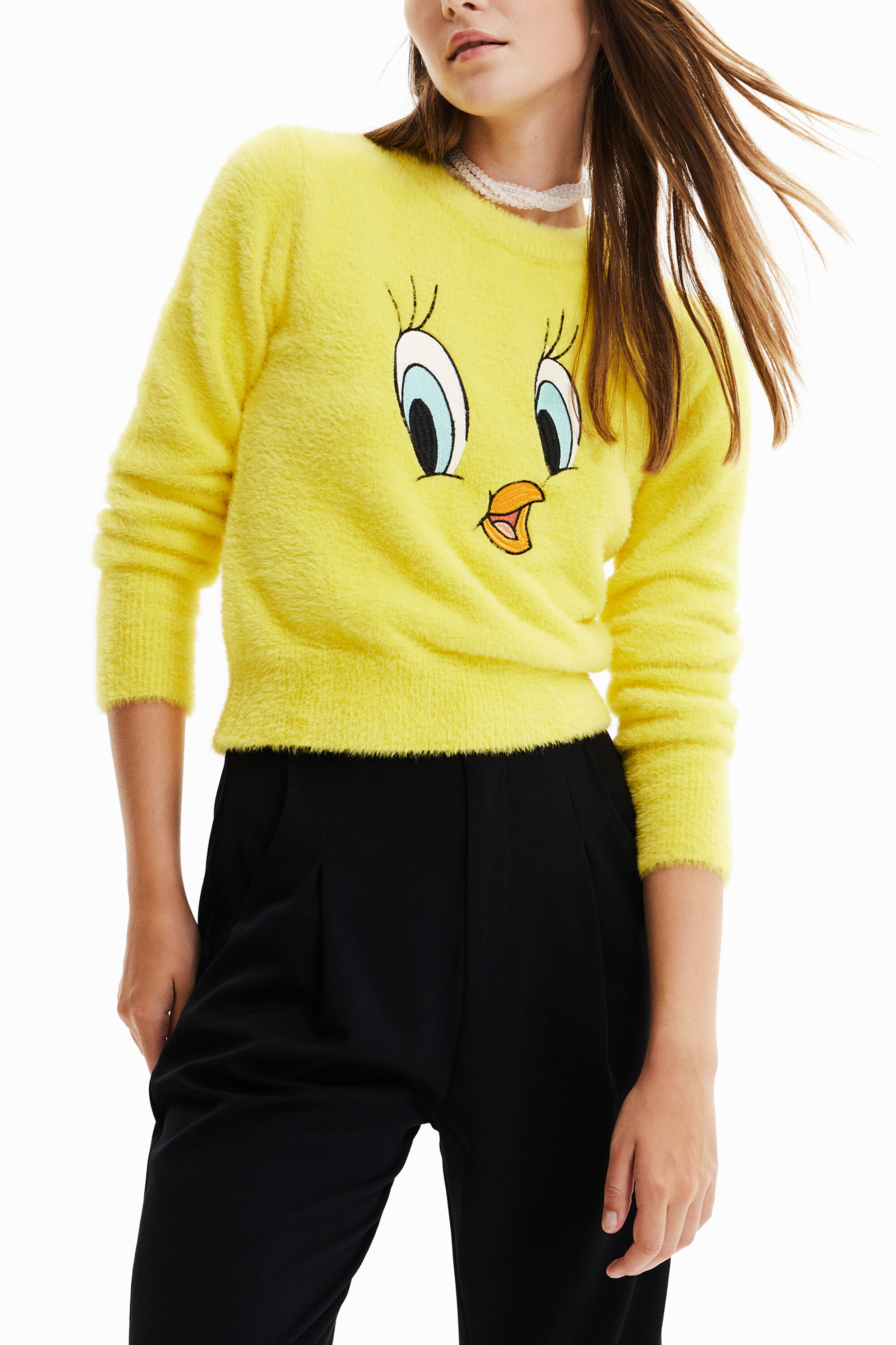 Tweety jumper | Desigual.com