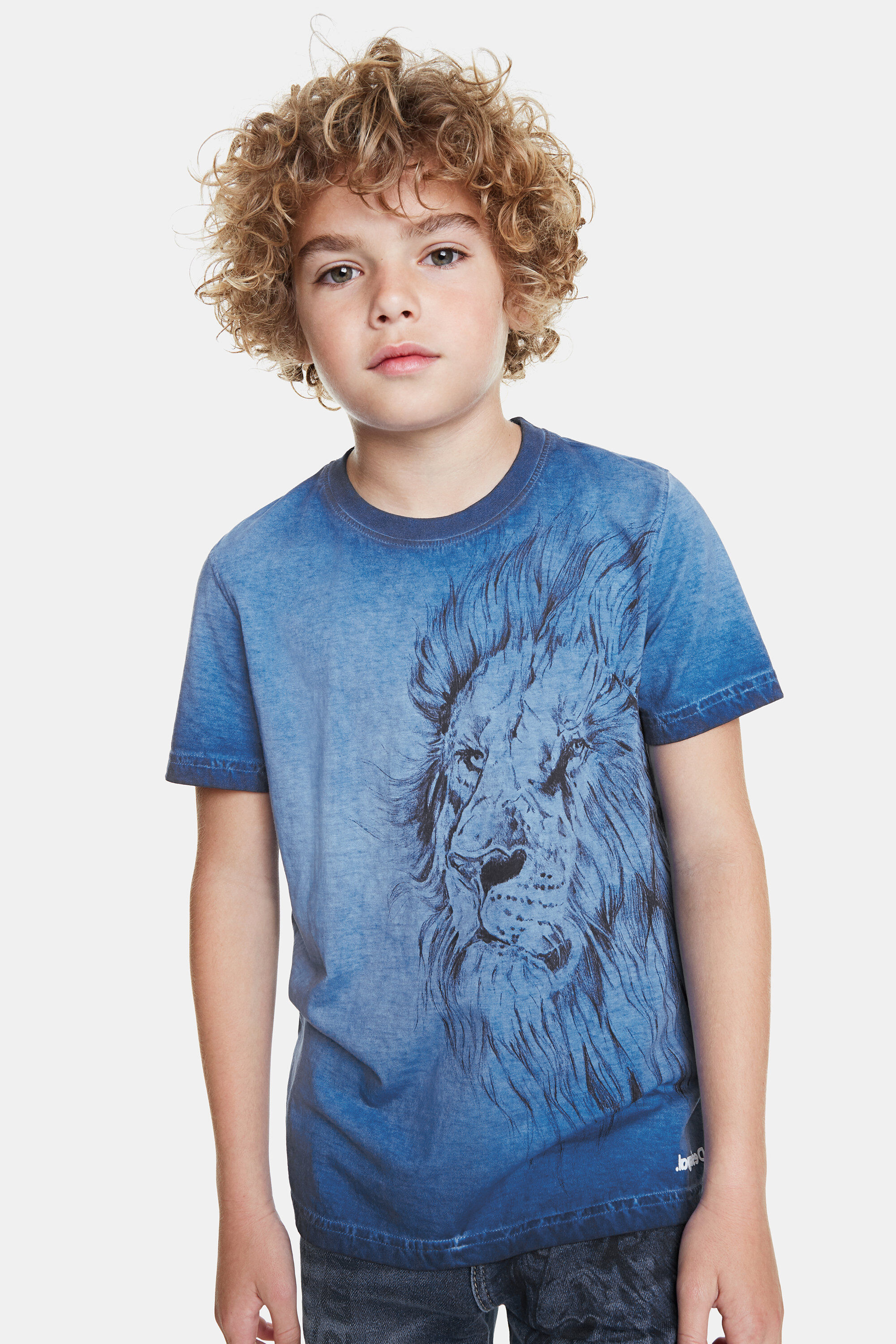 Lion T-shirt 100% cotton | Desigual.com