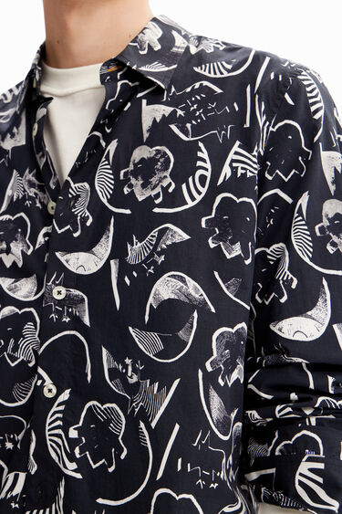 Arty poplin shirt | Desigual