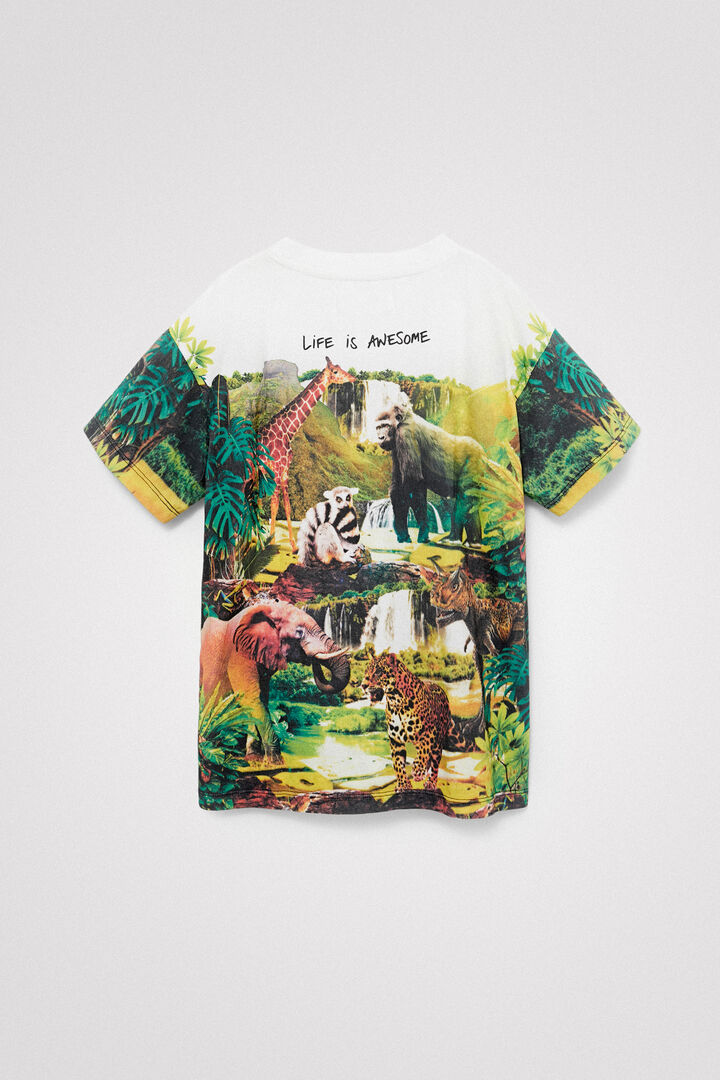 Camiseta dinosaurio | Desigual