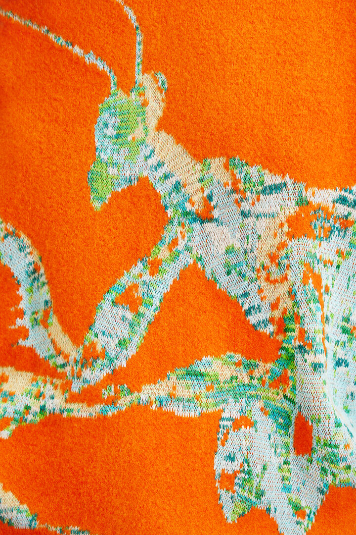 Maitrepierre oversize mantis pullover | Desigual