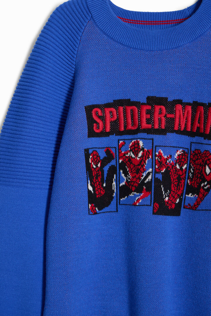 Sudadera Spiderman sin capucha | Desigual