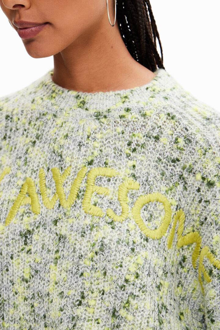 Jersey punto grueso con bordado | Desigual