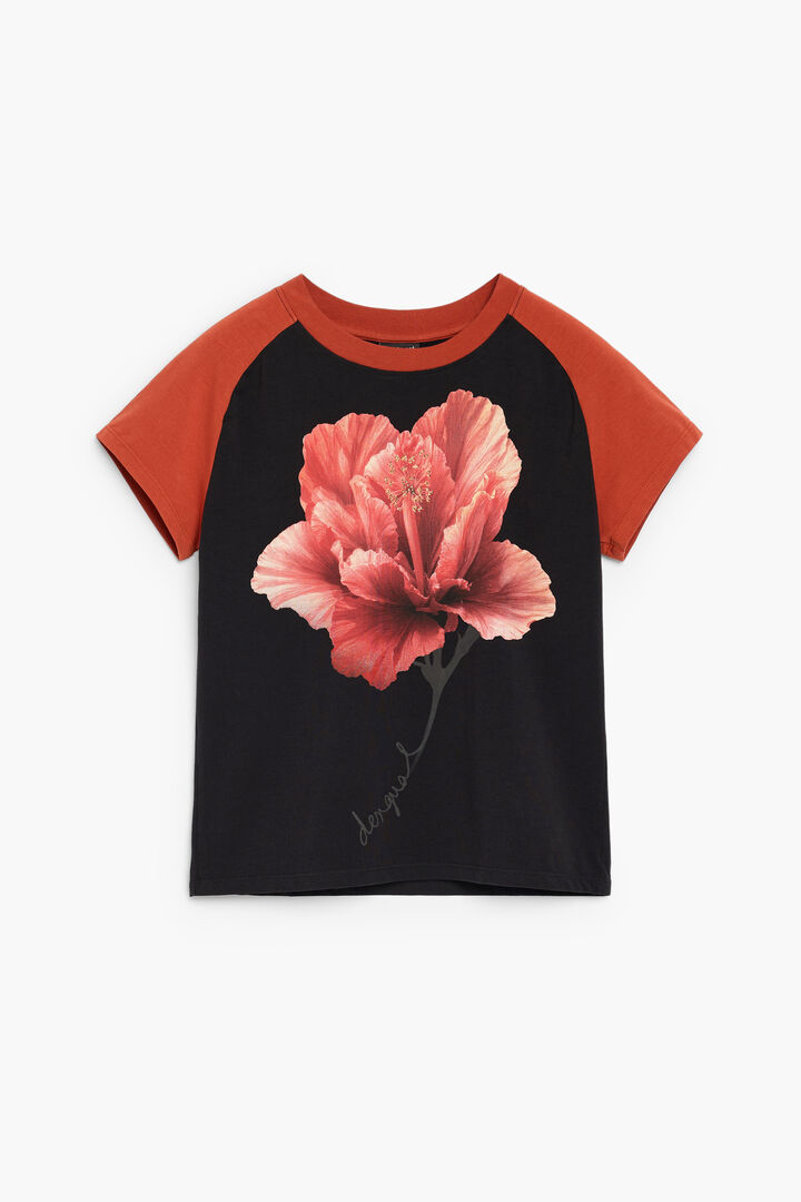 Camiseta Manga Corta Estampada