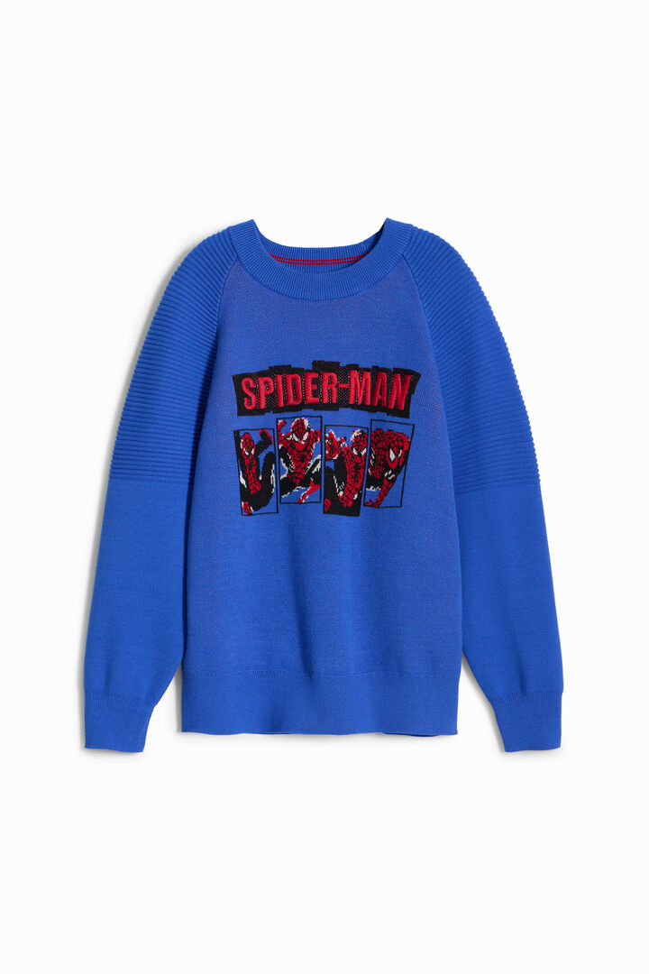 Sudadera Spiderman sin capucha | Desigual