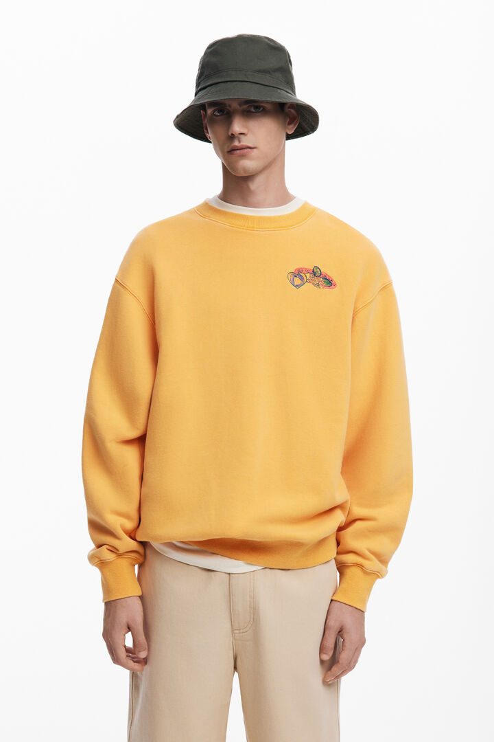 Embroidered sweatshirt | Desigual