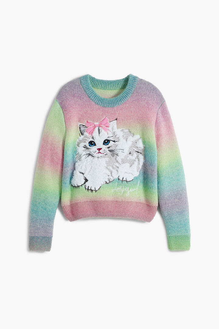 Sweter tęczowy kot | Desigual
