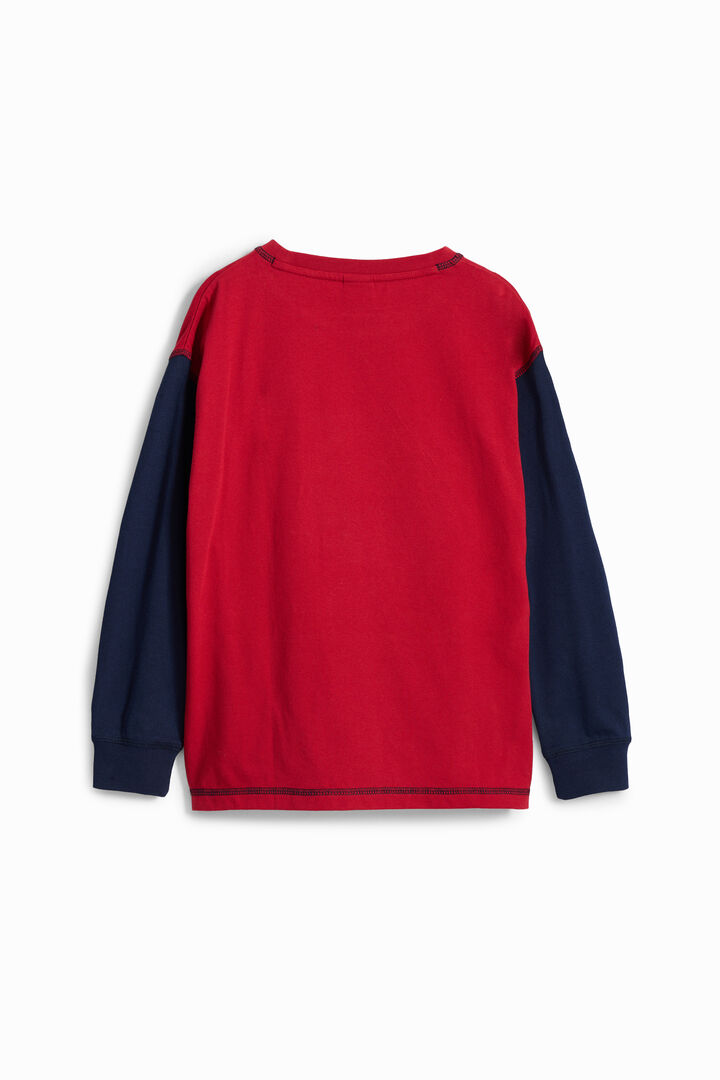 Tricolor basketball T-shirt | Desigual