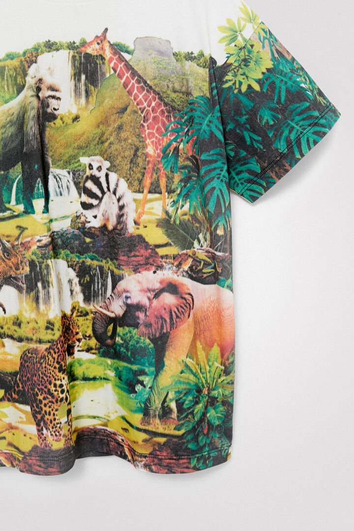 Camiseta dinosaurio | Desigual