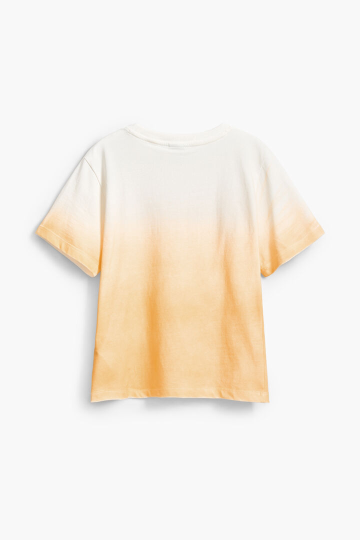 T-shirt dégradé | Desigual