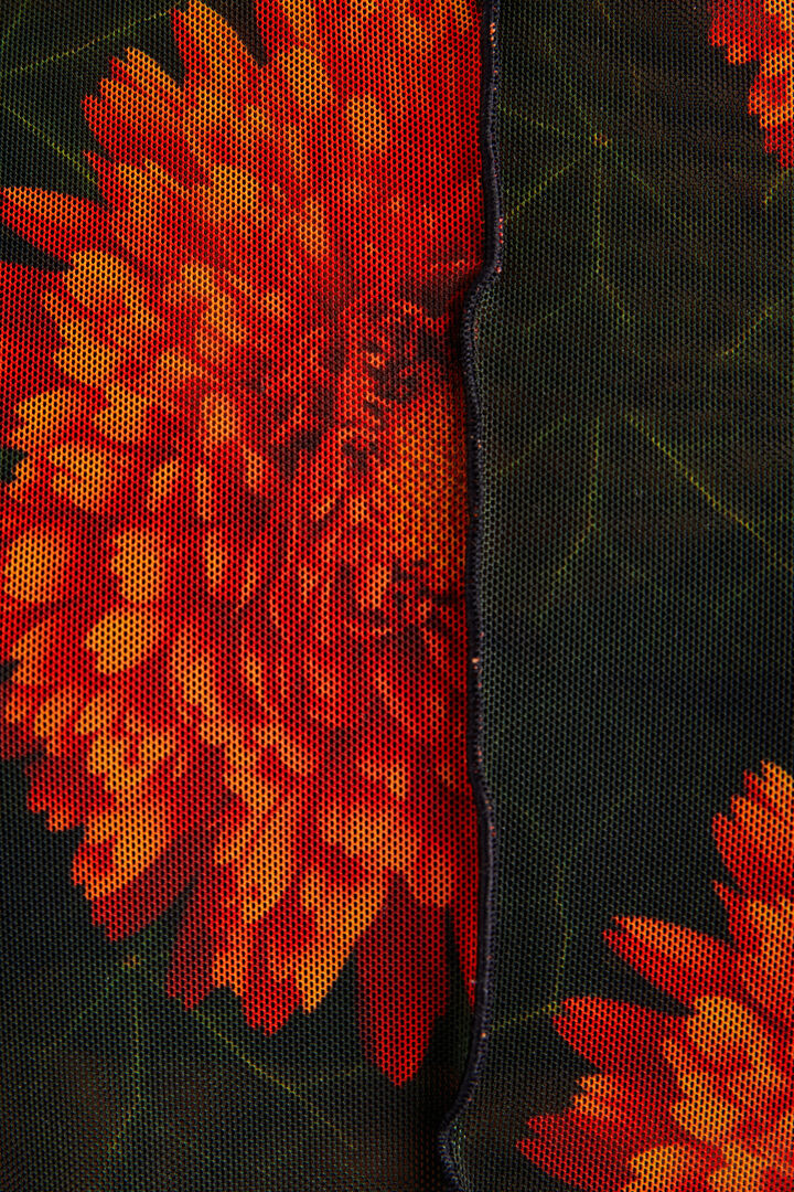 Samarreta tul floral | Desigual