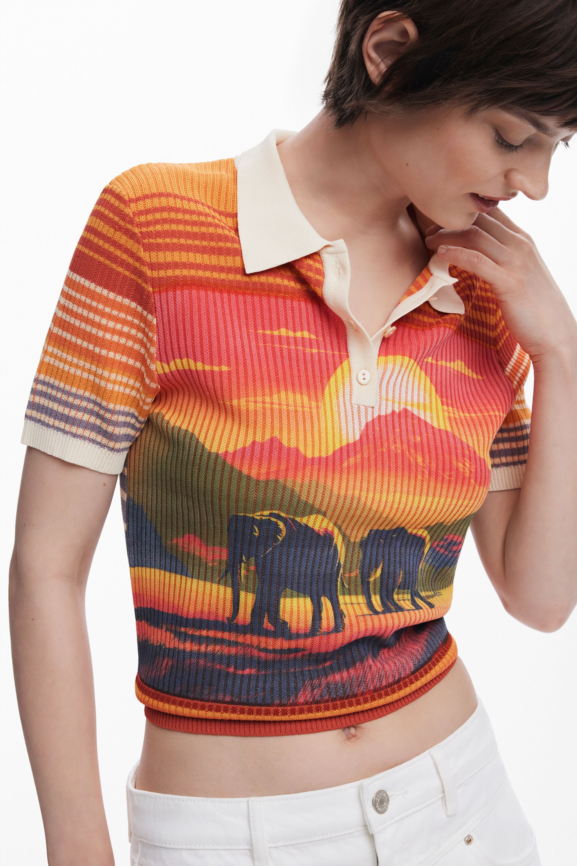 DESIGUAL 象柄のニットTシャツ