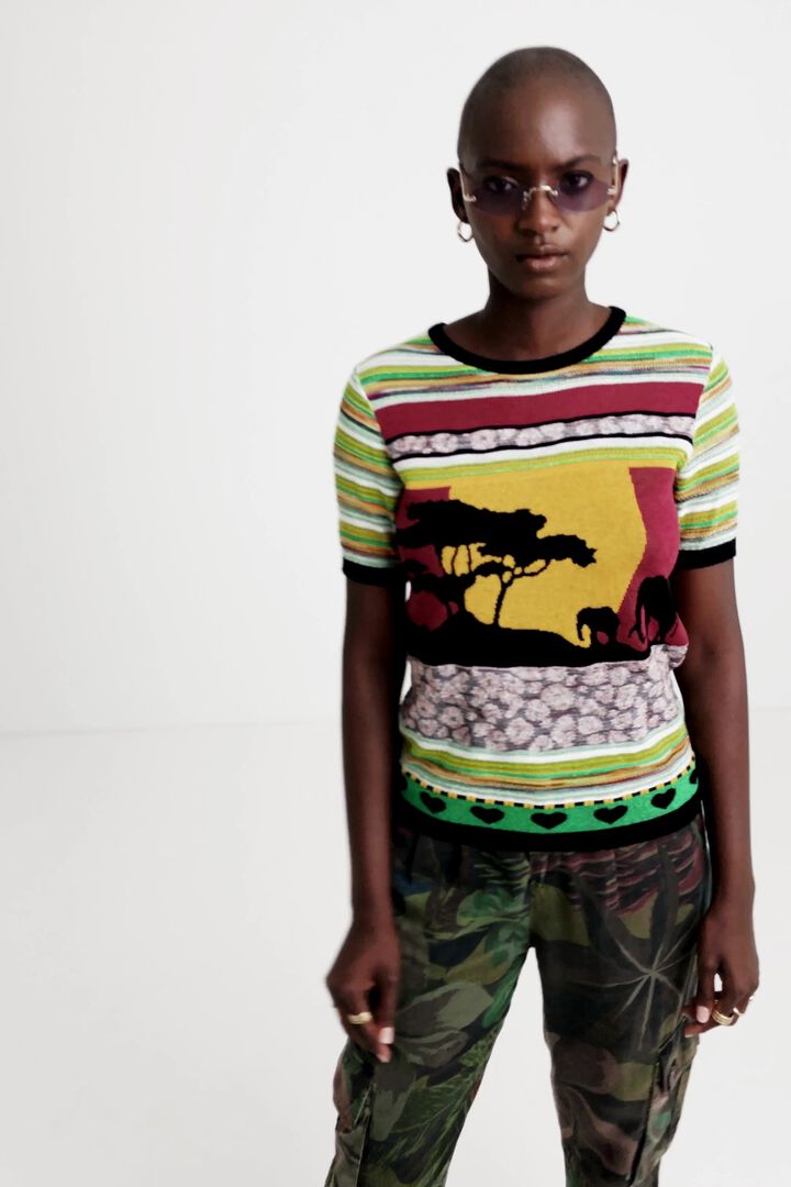 Africa patch jumper | Desigual