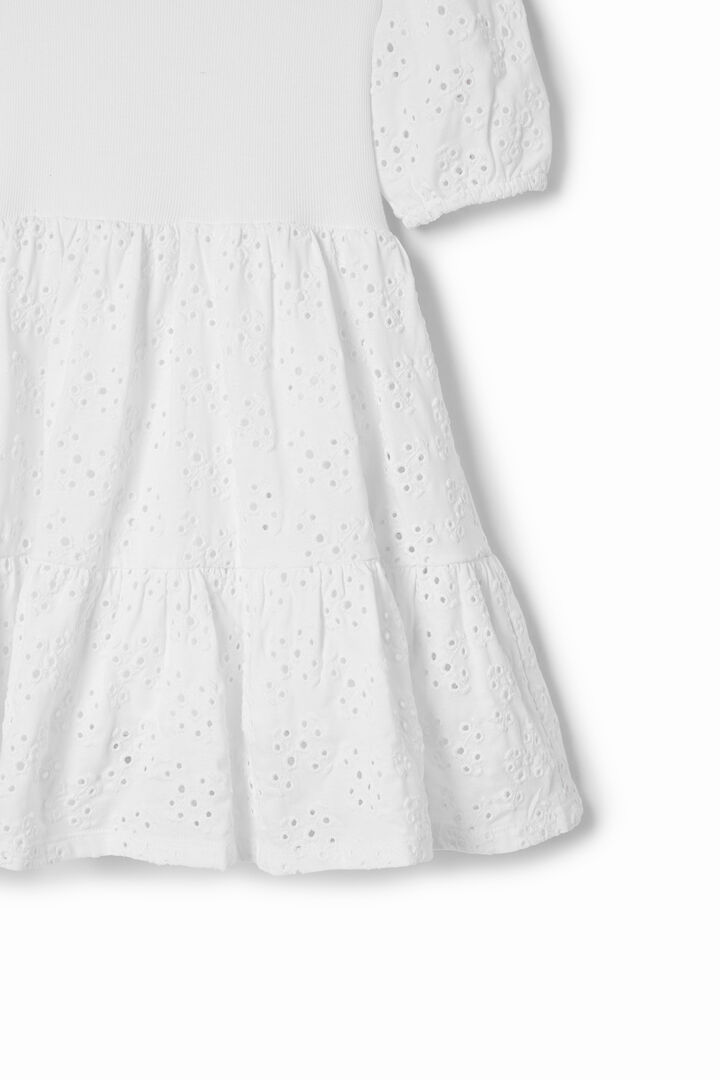 Combination Swiss embroidery dress | Desigual