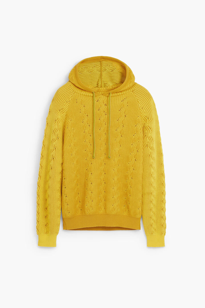 Sudadera capucha calados | Desigual